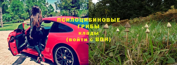 мескалин Арсеньев